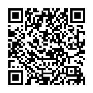 整个护宗大阵杨戬大大小小的使用了近百个阵法组合而成二维码生成