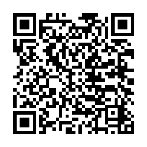 整个护宗大阵直接将方圆八百里的范围全都笼罩了起来二维码生成