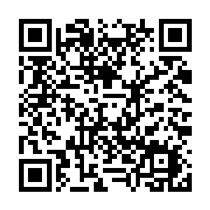 整个拍卖会场的气氛在刹那间变得十分诡异了起来二维码生成
