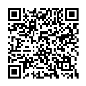 整个掖州境内还未撤离的华族百姓还有四亿多人二维码生成