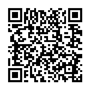 整个探戈国花了上百年的时间秘密的寻找上帝宝库二维码生成