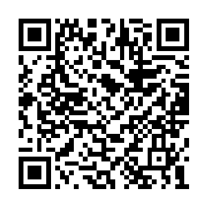 整个放逐世界方圆万里这一刻都被这光芒给照亮二维码生成