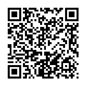 整个日出之洲能够用上素灵白玉的人也不过是一手之数二维码生成
