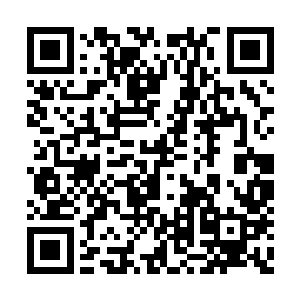 整个朱雀一族的居住地都已经被毁灭了四分之一二维码生成