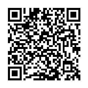 整个果子像一枚巨大的心脏一样有节奏的鼓动着二维码生成