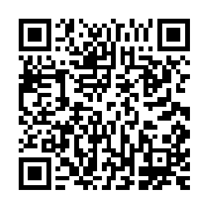 整个枝干上的魔气在阵法的掌控下开始不断的朝着四周逸散着二维码生成