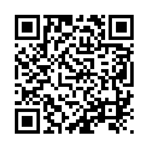 整个桑巴国代表团都在忙着应付明天的和谈二维码生成