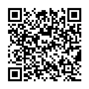 整个欧阳家族的护族大阵尽皆展现在她的视野之中二维码生成