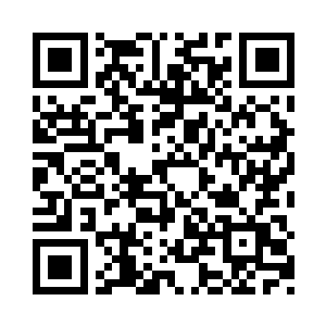 整个比赛最严重的一次失误就是抓中那一波二维码生成