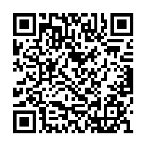 整个洪家的人全部都被位面战争督察队给抓走了二维码生成