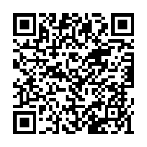 整个游戏世界再次回归到玩家和野外怪的对抗中二维码生成