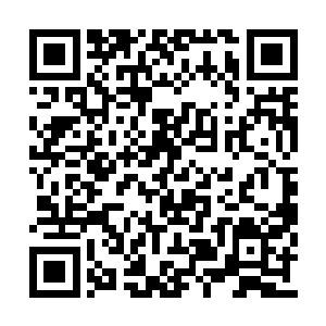 整个湖面上方的浓密灵雾都聚集在许紫烟的周围二维码生成