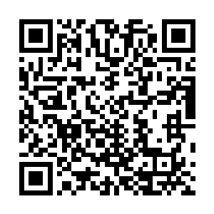 整个玄天城的屠户和不少餐饮饭馆的老板都支持钱大东家二维码生成