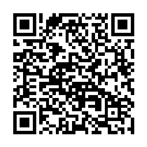 整个玄天星辰万象大阵比他预想之中的还要完美不少二维码生成