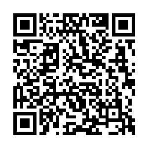 整个王都至少有七成势力是掌控在图拉扬手里的二维码生成