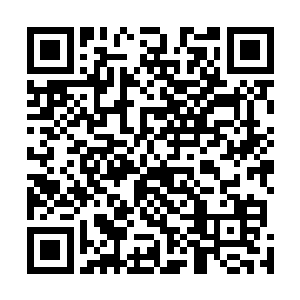 整个珠宝店被他们逛了三四遍还是津津有味的不停的逛着二维码生成