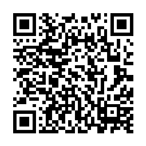 整个界面都如黑夜一般给它巨大的身子和翅膀所包围起来二维码生成