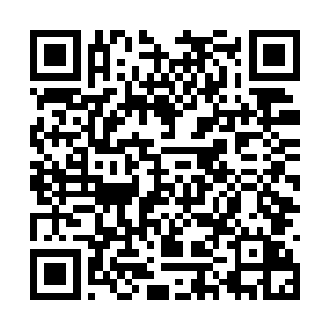 整个白雪城都笼罩在这个庞然大物投下的阴影之中二维码生成