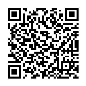 整个百谷潮汐第二层地面被密集到数不清的枪影戳碎二维码生成