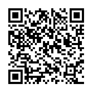 整个的尸体被腐蚀的只剩下了一颗硕大的白色虎头二维码生成