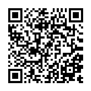 整个皇城依然是被秦宇和老者战斗的能量波动所席卷二维码生成