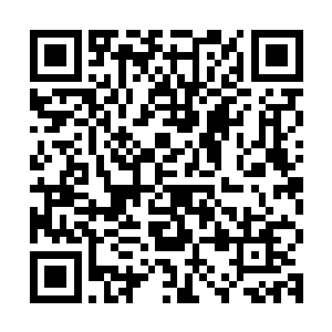 整个看台上响起了一片欢呼・赛场上的近一万修士也都面露喜色二维码生成