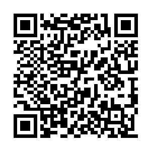 整个神界几乎百分之八十以上的帝境强者都来了二维码生成