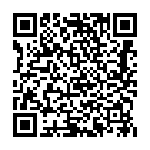 整个禁地里的诡异气息对他的压制实在是太大了二维码生成