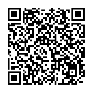 整个空间之中瞬间直接被一股无比的恐怖的浓浓的邪恶的气息所充斥二维码生成