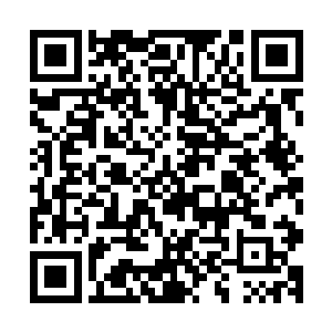 整个联邦竟然已经有无数人突然因为这或那的意外成了植物人二维码生成