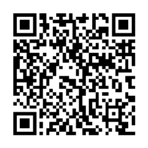 整个胸膛在接触的第一时间就被费力所化的锯轮给切割开来二维码生成