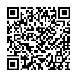 整个船舱中的血色能量全部进入了流墨墨的身体二维码生成