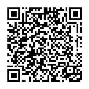 整个花果山现如今十万妖众修行所需丹药的炼丹任务都压在她一个人的头上二维码生成