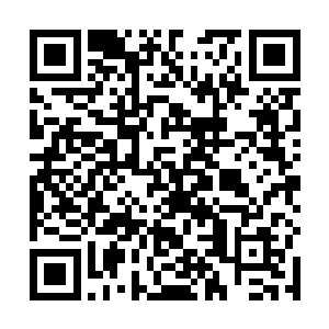 整个苍澜宗的修士都心服口服地期待姜九重成为宗主吗二维码生成