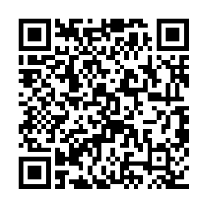 整个苍耳山谷都沉浸在一片热闹喧嚣的气氛之中二维码生成