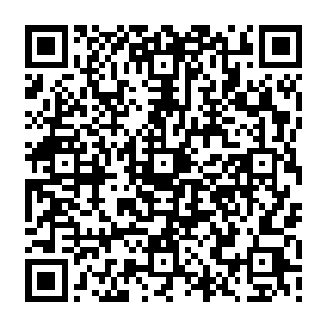 整个蓬莱秘境也不过是由三条超级灵脉组合而成的而已……还有一些零散的小灵脉二维码生成