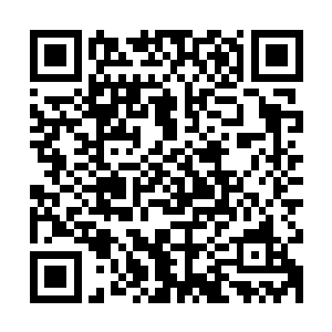 整个虚空之中的九幽圣地的一众高手竟然仅仅只剩下不到十个人二维码生成