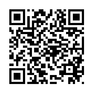 整个虚空地呈现在杨开的视野之中二维码生成