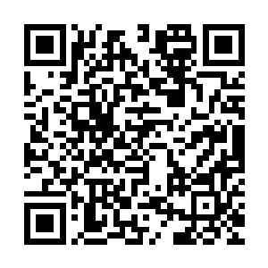 整个血色的光幕的下方仿佛瞬间直接变成了血色的剑刃风暴一般二维码生成