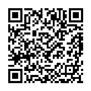 整个访瑞典代表团的医生人数就达到了四十六人二维码生成