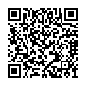 整个识海之中的金色的能量风暴仿佛沸腾了一般二维码生成
