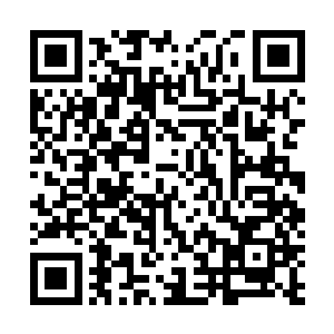 整个诸天百界仙王级别的强者也不过才只有一百多位而已二维码生成