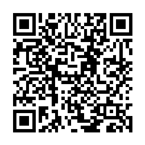 整个费南世界的人都亲眼目睹了马文那一刀又一刀二维码生成