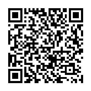 整个赛场之外的修士都呆滞地望着影像之上的许紫烟的表演二维码生成