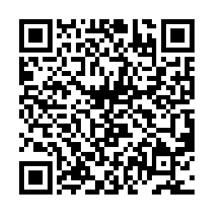 整个身子化为一道残影迅速向着杰德家族的圣王追去二维码生成