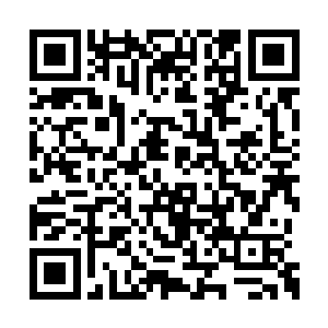 整个轻风细雨楼的人都感受到了一股莫名的压抑二维码生成