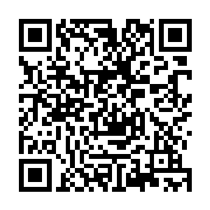 整个遗迹虽然说表面上看上去并没有发生什么太大的变化二维码生成
