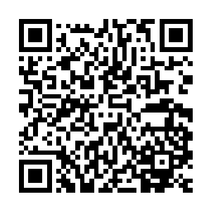 整个部族当中居然出现了整整四个可以争夺檀力呙位置的候选人二维码生成