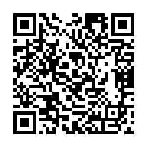 整个量天峰在不到一天的喧闹之后便进入了寂静之中二维码生成