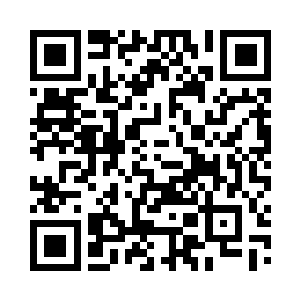 整个钉锤几乎就是化为了一道白色闪电一般二维码生成